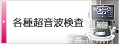 各種超音波検査